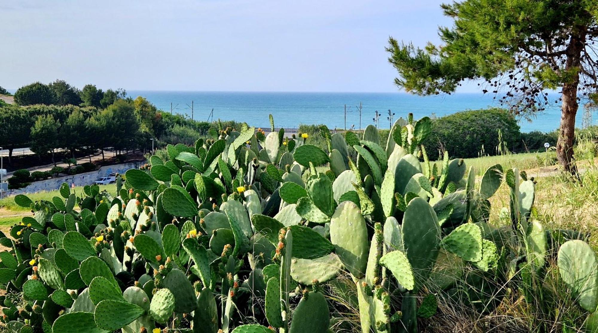 Via Del Mare Βίλα Termoli Εξωτερικό φωτογραφία